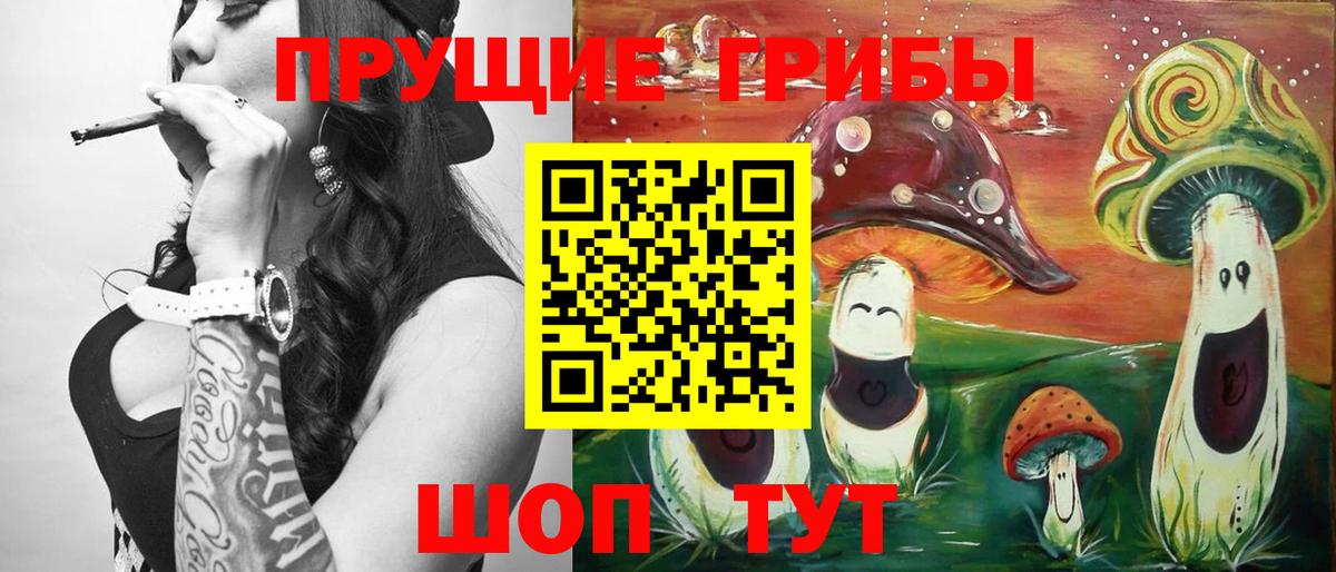 Дербент  Псилоцибиновые грибы GOLDEN TEACHER  Вход с VPN 